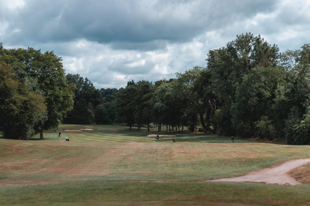 Golf course seen from a distance